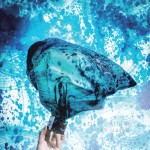 silverlining-jacket_mini