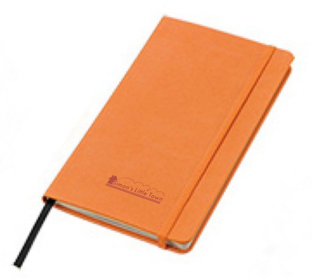 SLT_system_notebook